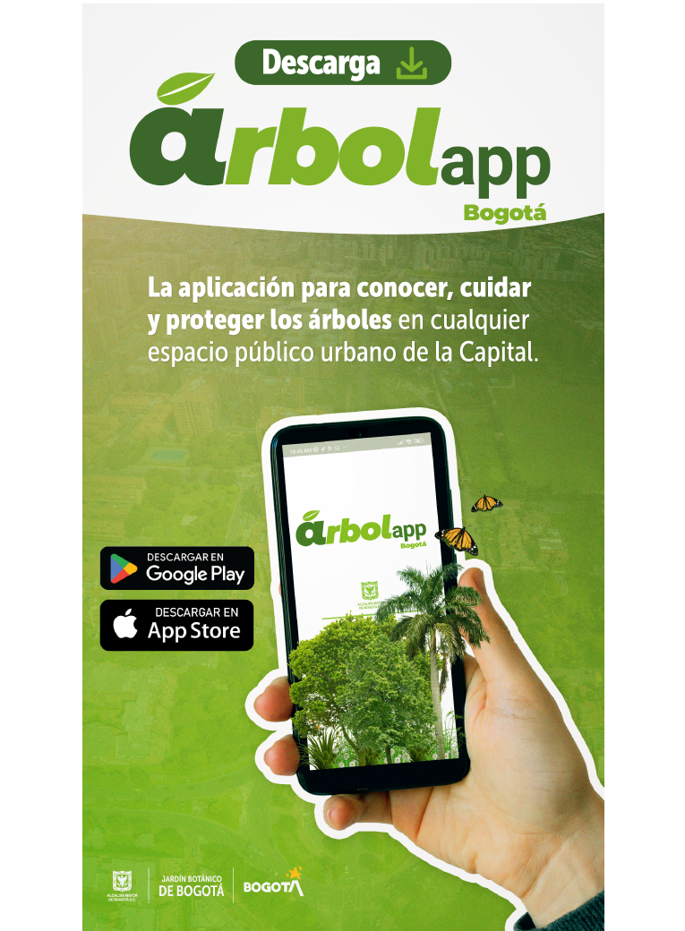 Lanzamiento de la APP ARBOLAPP, una apuesta del distrito por cuidar a todos los arboles de la ciudad.